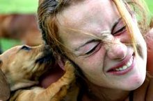 puppybite