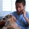 stock footage young asian man talking on phone with pet dog in lap