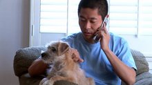 stock footage young asian man talking on phone with pet dog in lap