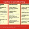typology