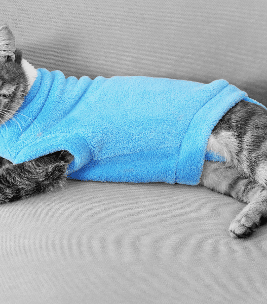 why do cats go limp when you put clothes on them