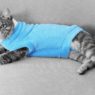 why do cats go limp when you put clothes on them