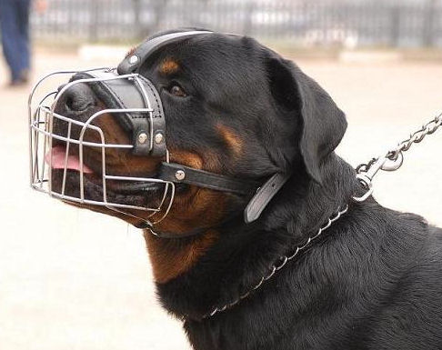 wire basket Rottweiler muzzle LRG